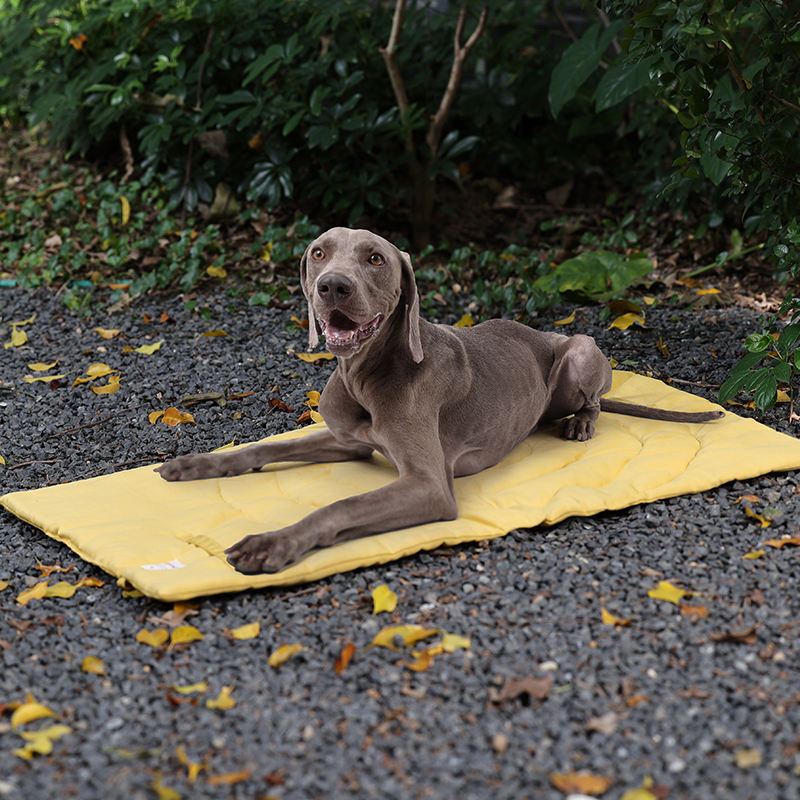 Portátil dobrável Pet Mat com  - Outdoor Camping Rug avaliação e preço