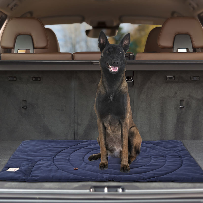 Portátil dobrável Pet Mat com  - Outdoor Camping Rug avaliação e preço
